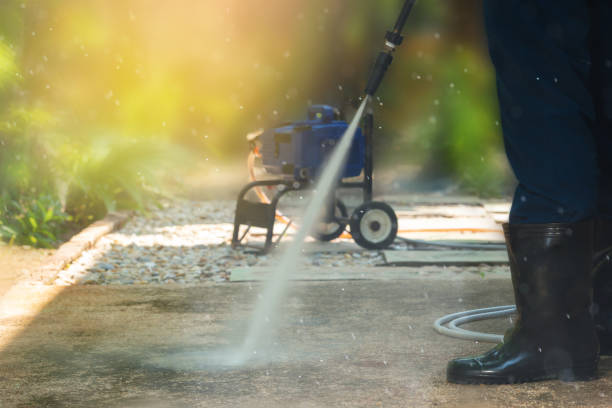 Best Driveway Pressure Washing  in Benavides, TX